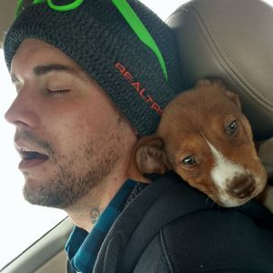 Meet your Posher, David